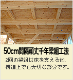 banner-kodawari05